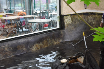 nettoyage-bassin-restaurant