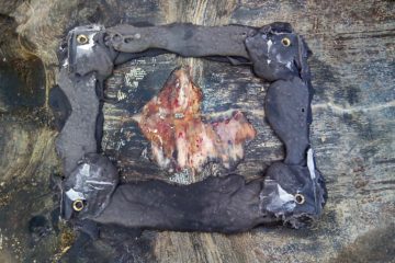 pose protection plastron