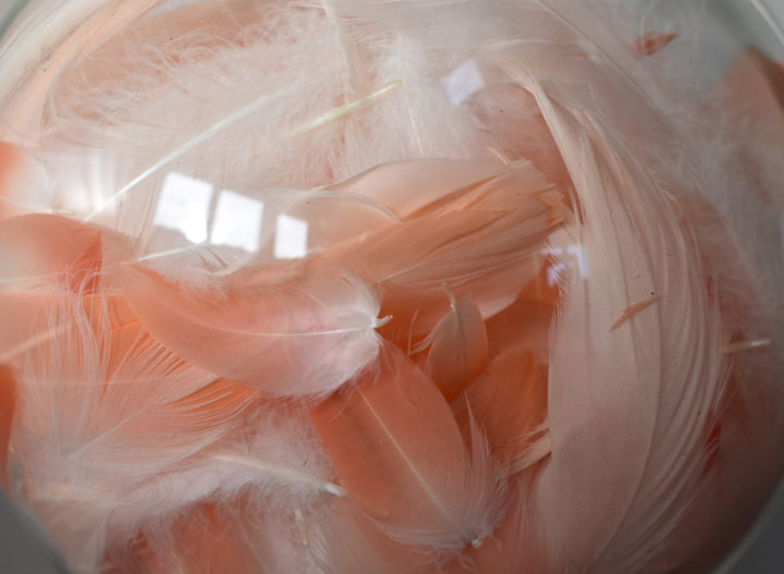 boules plumes flamant