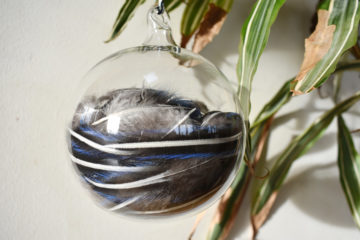 boules plumes goura victoria2