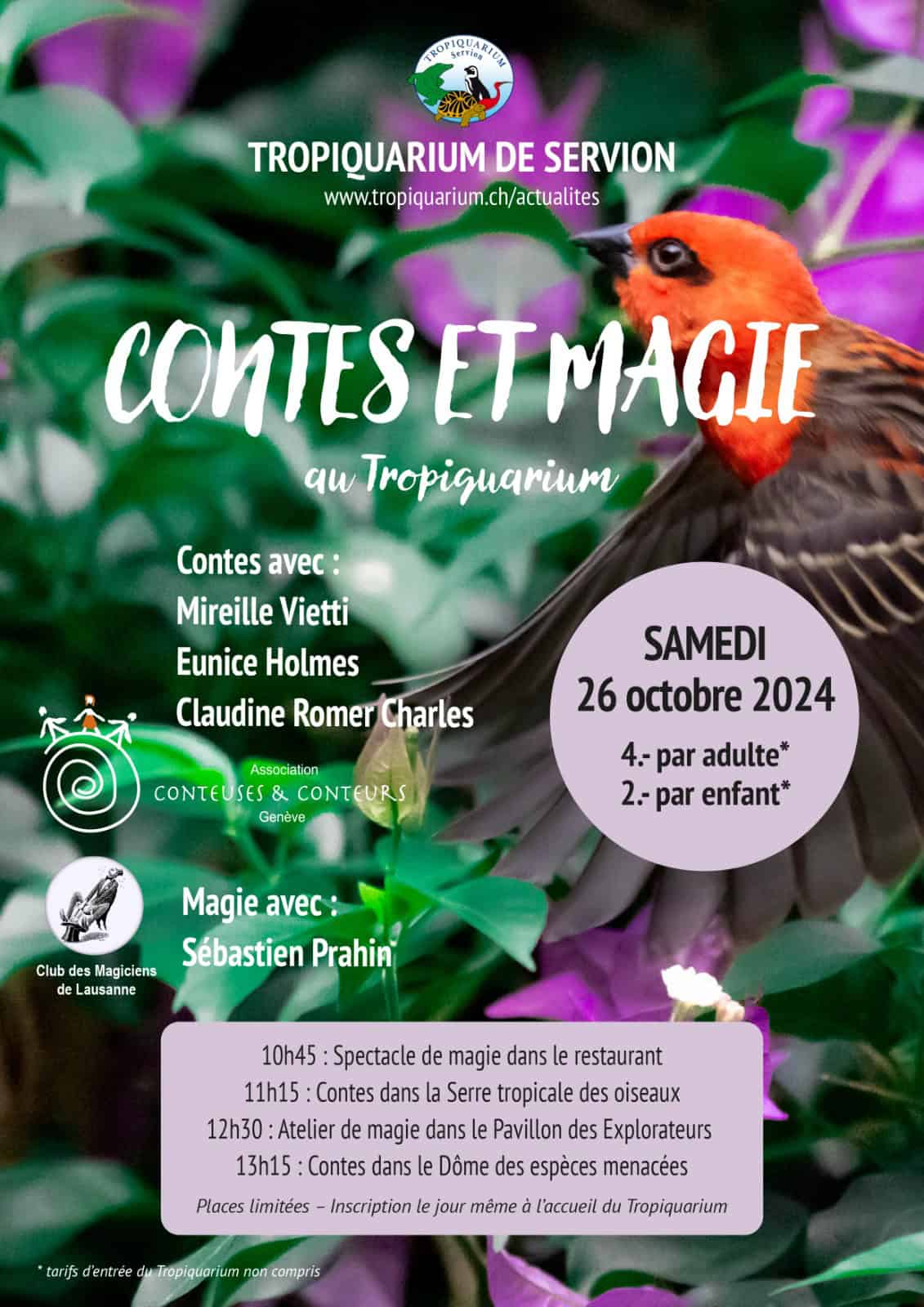 contes et magie