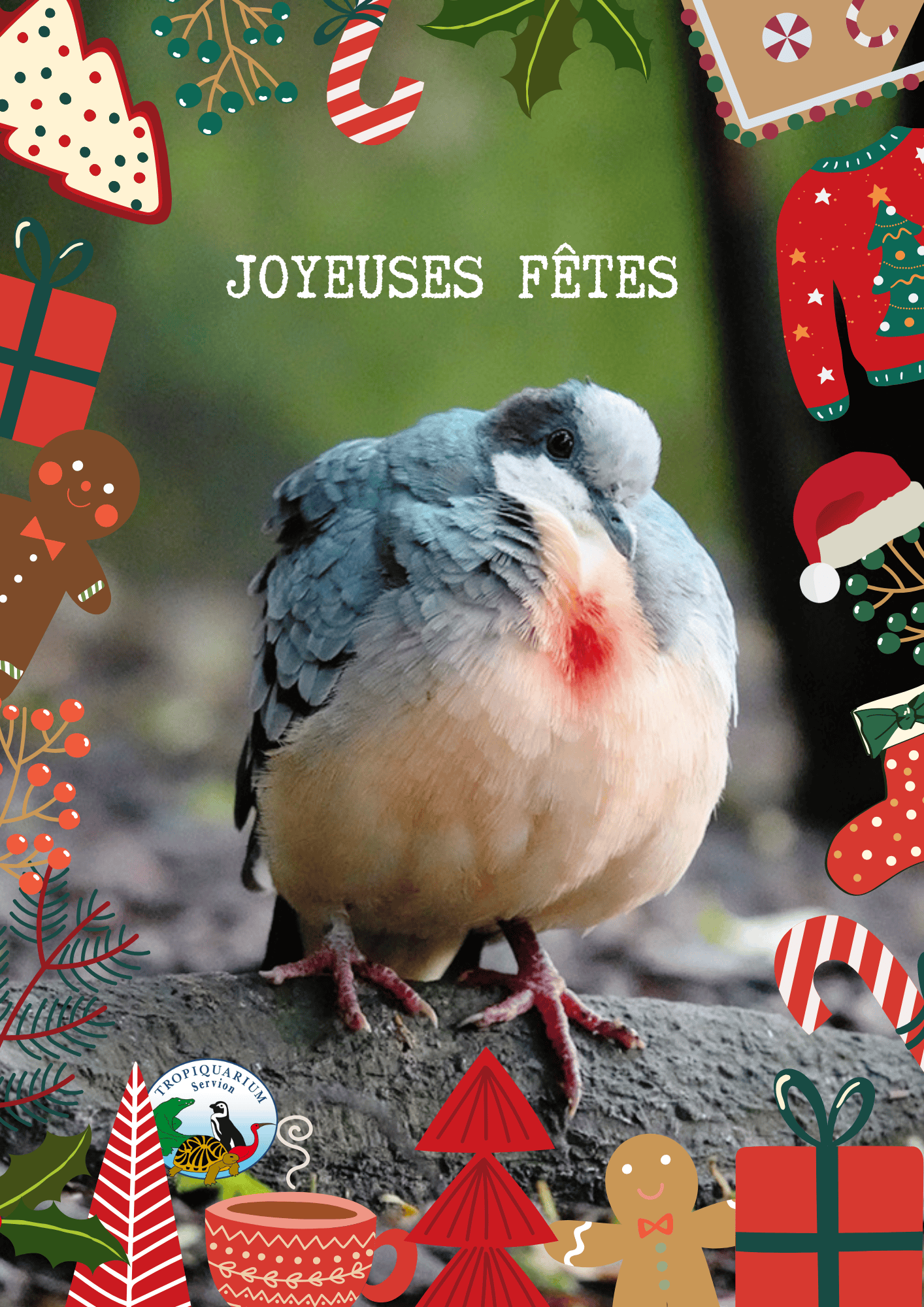 Affiche Noël