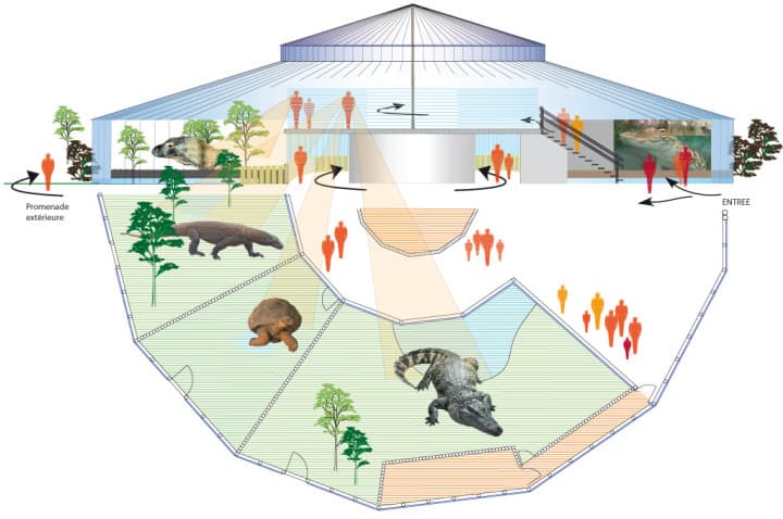 Schéma du nouveau bâtiment du Tropiquarium pour accueillir les varans de Komodo