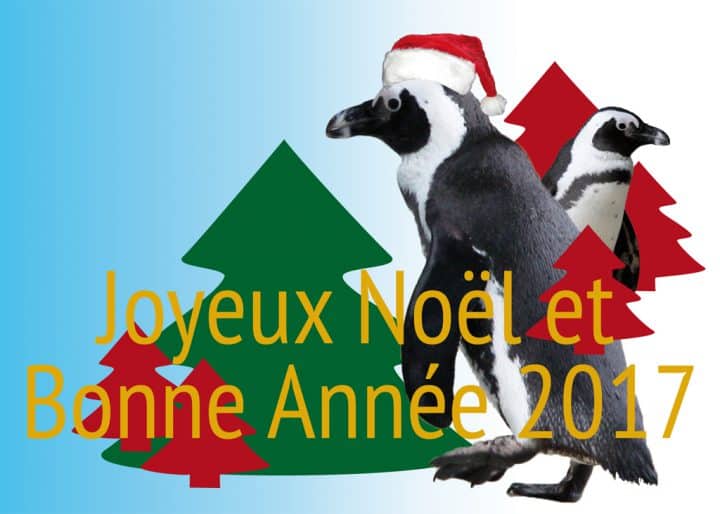 carte-noel16-2