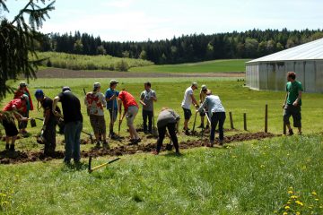 potager