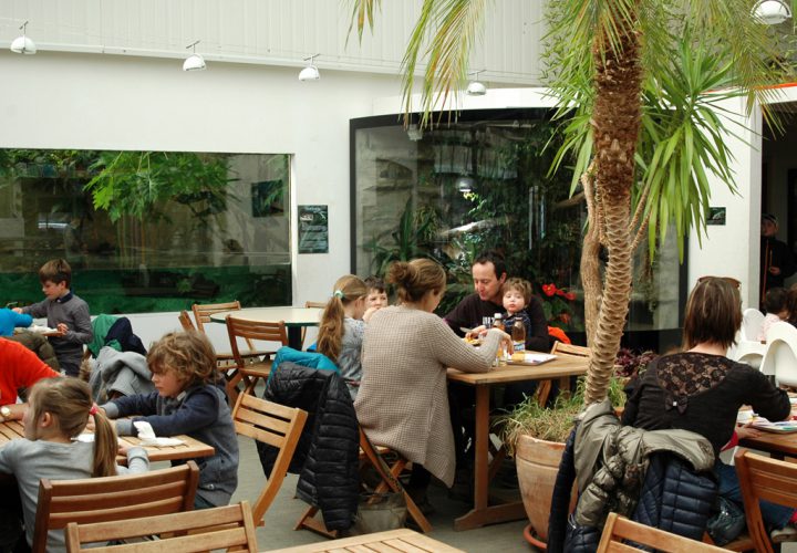 restaurant3