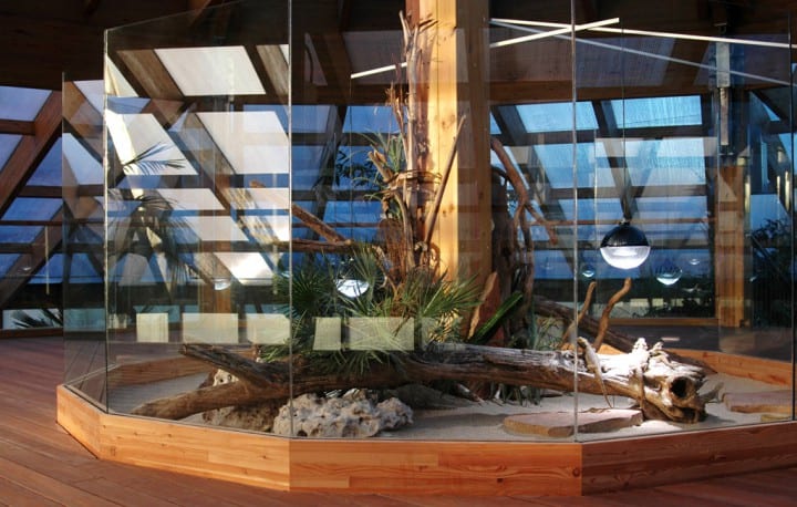 terrarium plateforme